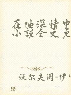 在他深情中陨落小说全文免费阅读