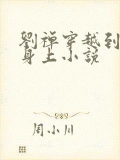 刘禅穿越到赵构身上小说