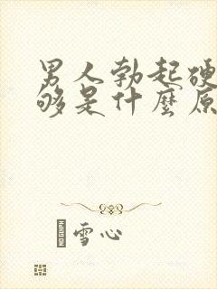 男人勃起硬度不够是什么原因封面