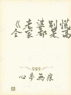 《老婆别慌,我全家都是高手》