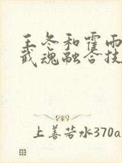 王冬和霍雨浩的武魂融合技都有哪些