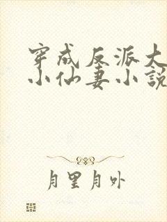 穿成反派大佬的小仙妻小说