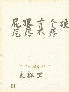 屁眼有个硬硬的疙瘩不疼封面