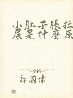 小肚子胀拉不出屎是什么原因