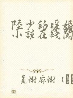 陆少的暖婚新妻小说在线阅读