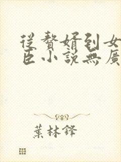 从赘婿到女帝宠臣小说无广告