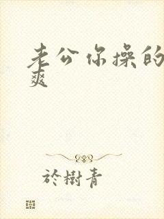 老公你操的我好爽