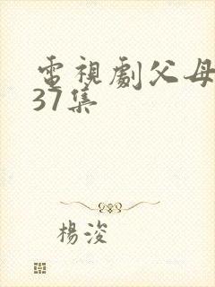 电视剧父母爱情37集封面