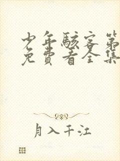 少年骇客第一季免费看全集