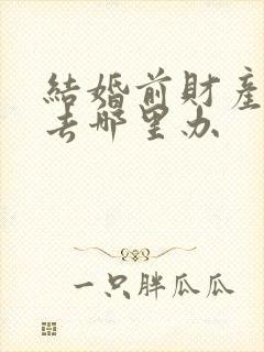 结婚前财产公证去哪里办封面