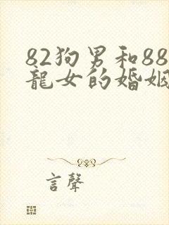 82狗男和88龙女的婚姻状况封面