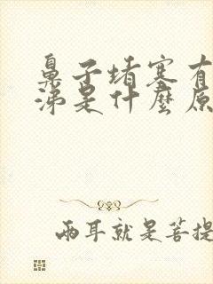 鼻子堵塞有黄鼻涕是什么原因