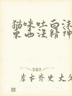 猫咪吐白沫不吃东西没精神怎么办