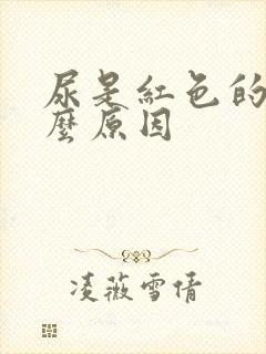 尿是红色的是什么原因