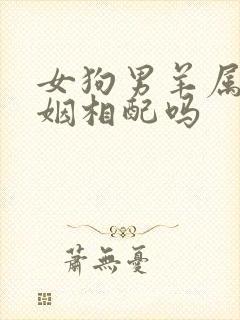 女狗男羊属相婚姻相配吗