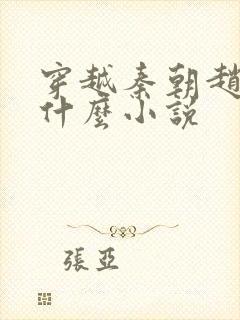 穿越秦朝赵浪是什么小说