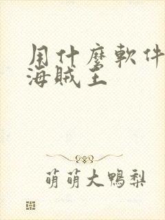 用什么软件能看海贼王封面