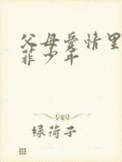 父母爱情里江亚菲少年