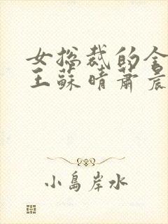 女总裁的全能兵王苏晴萧晨