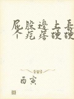 屁股边上长了一个疙瘩硬硬的封面