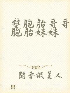 双胞胎哥哥 双胞胎妹妹封面