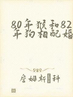 80年猴和82年狗相配婚姻如何