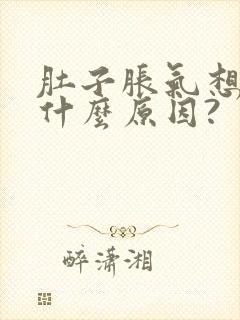 肚子胀气想吐是什么原因?封面