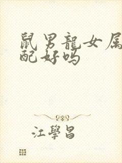 鼠男龙女属相婚配好吗