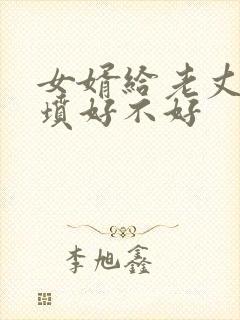 女婿给老丈人上坟好不好封面