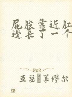 屁股靠近肛门旁边长了一个硬的疙瘩