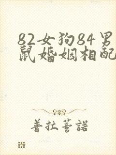 82女狗84男鼠婚姻相配吗