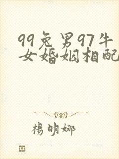99兔男97牛女婚姻相配吗封面