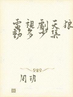 电视剧天狼星行动多少集封面