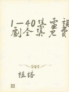 1—40集电视剧全集免费观看封面