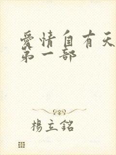 爱情自有天意 第一部