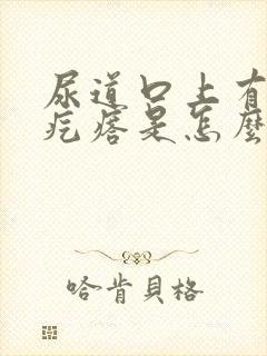 尿道口上有个小疙瘩是怎么回事