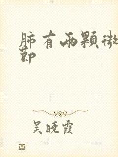 肺有两颗微小结节