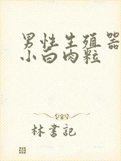 男性生殖器上长小白肉粒