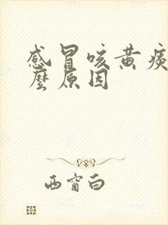 感冒咳黄痰是什么原因