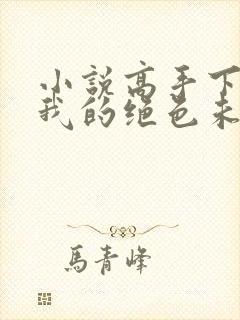 小说高手下山:我的绝色未婚妻下载