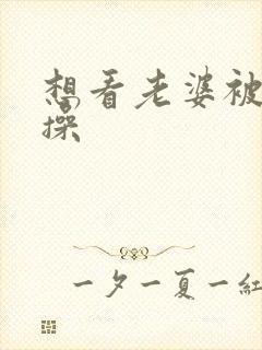 想看老婆被别人操