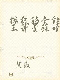 总裁的全能型兵王萧晨苏晴