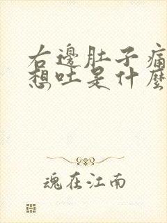 右边肚子痛有点想吐是什么原因