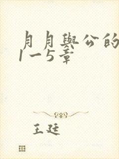 月月与公的激情1一5章
