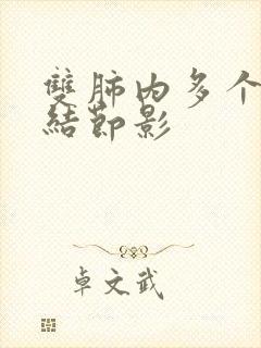 双肺内多个微小结节影