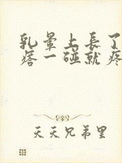 乳晕上长了个疙瘩一碰就疼怎么回事