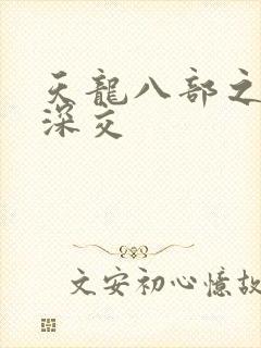 天龙八部之极乐深交封面