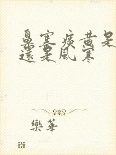 鼻塞痰黄是风热还是风寒