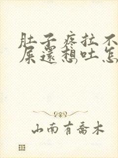 肚子疼拉不出来屎还想吐怎么办