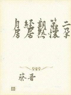 月经期第二天同房居然怀孕了